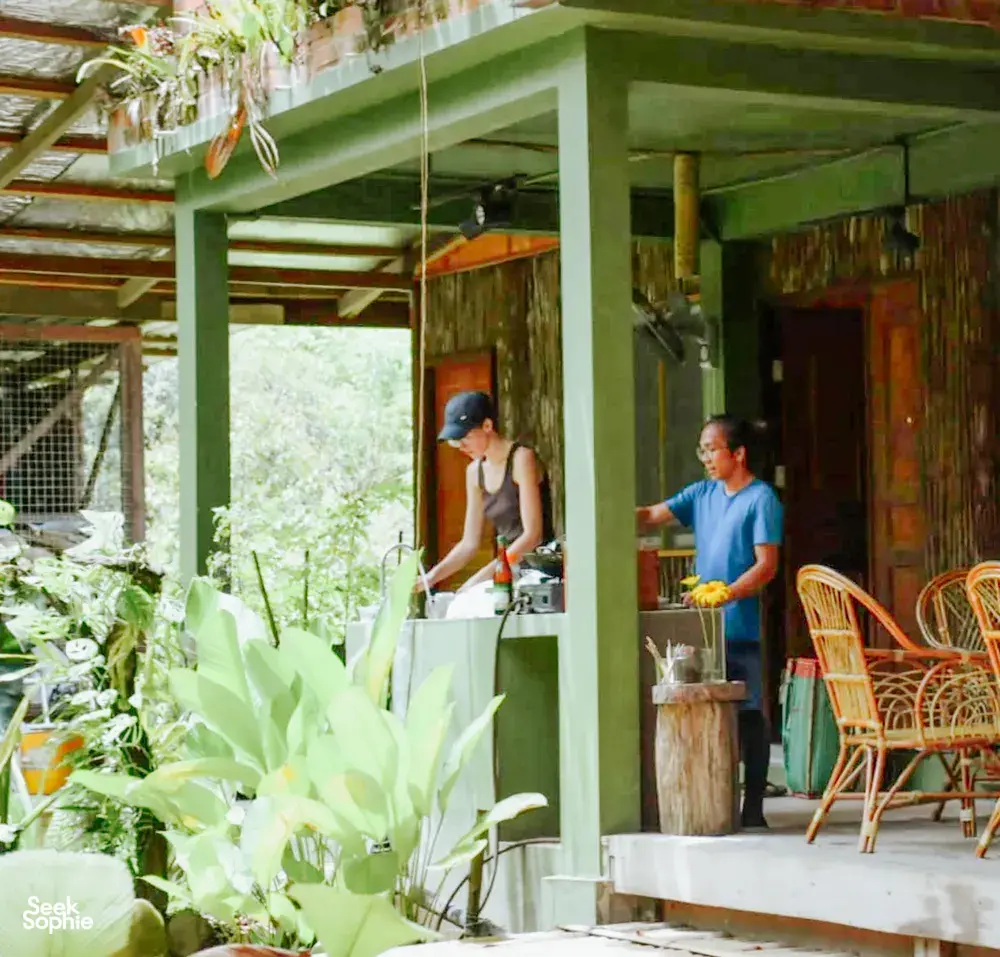 Seek Sophie option picture