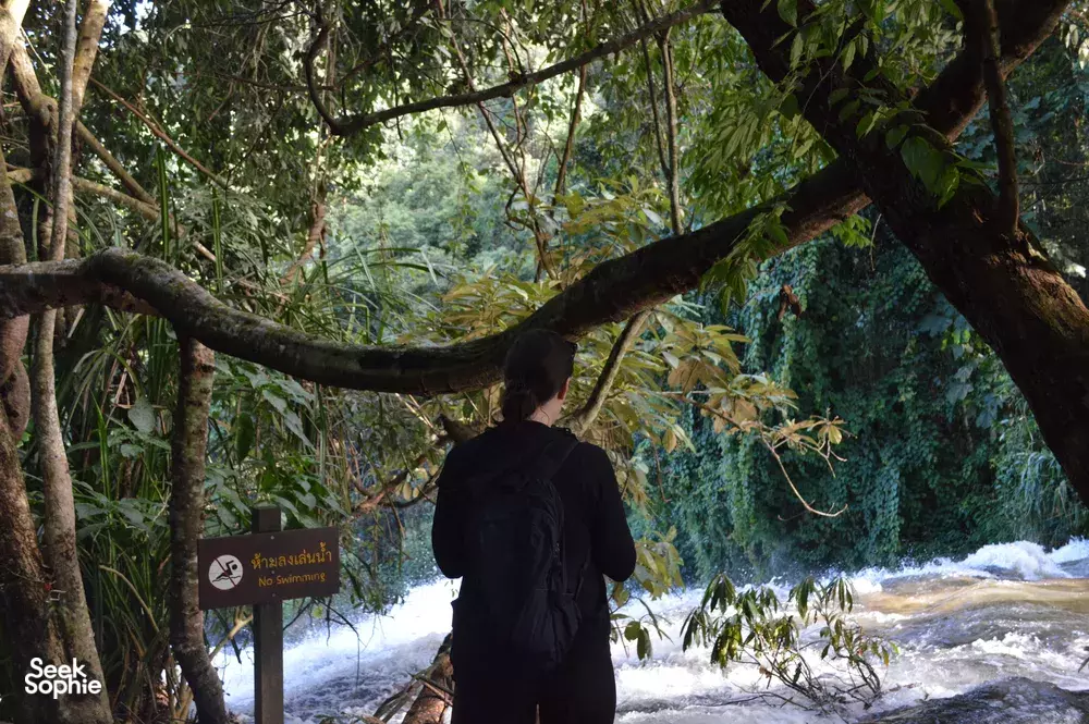 Seek Sophie option picture