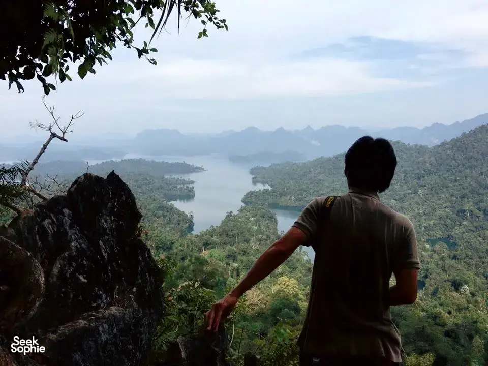 Seek Sophie option picture