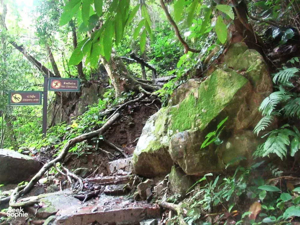 Seek Sophie option picture