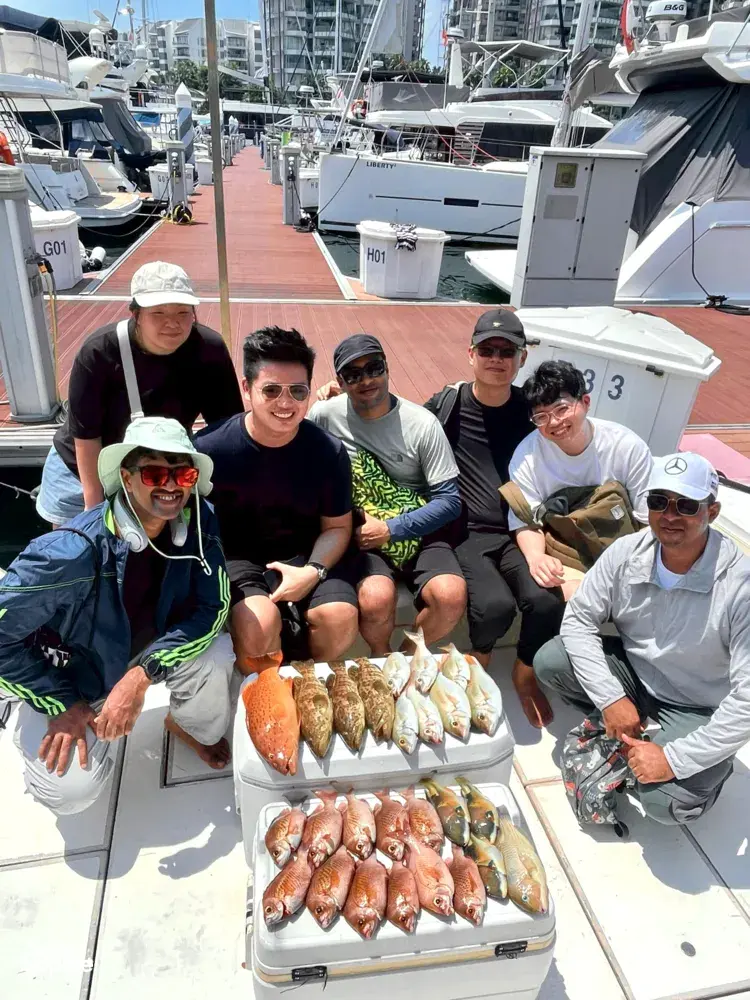 Seek Sophie option picture