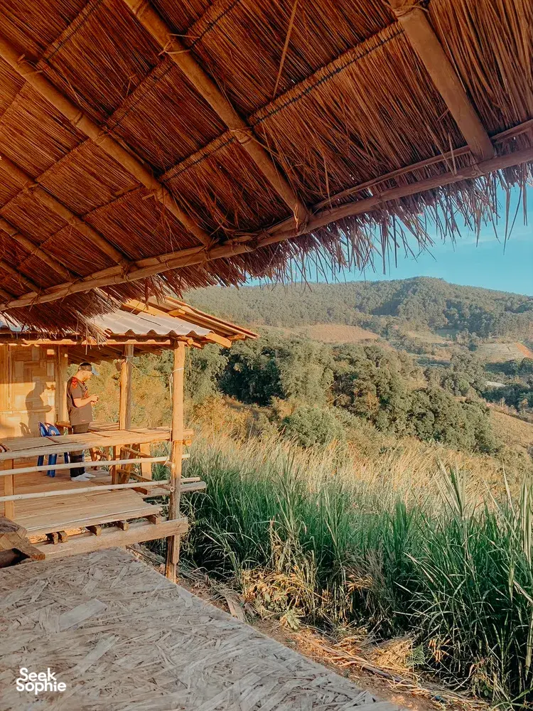 Seek Sophie option picture