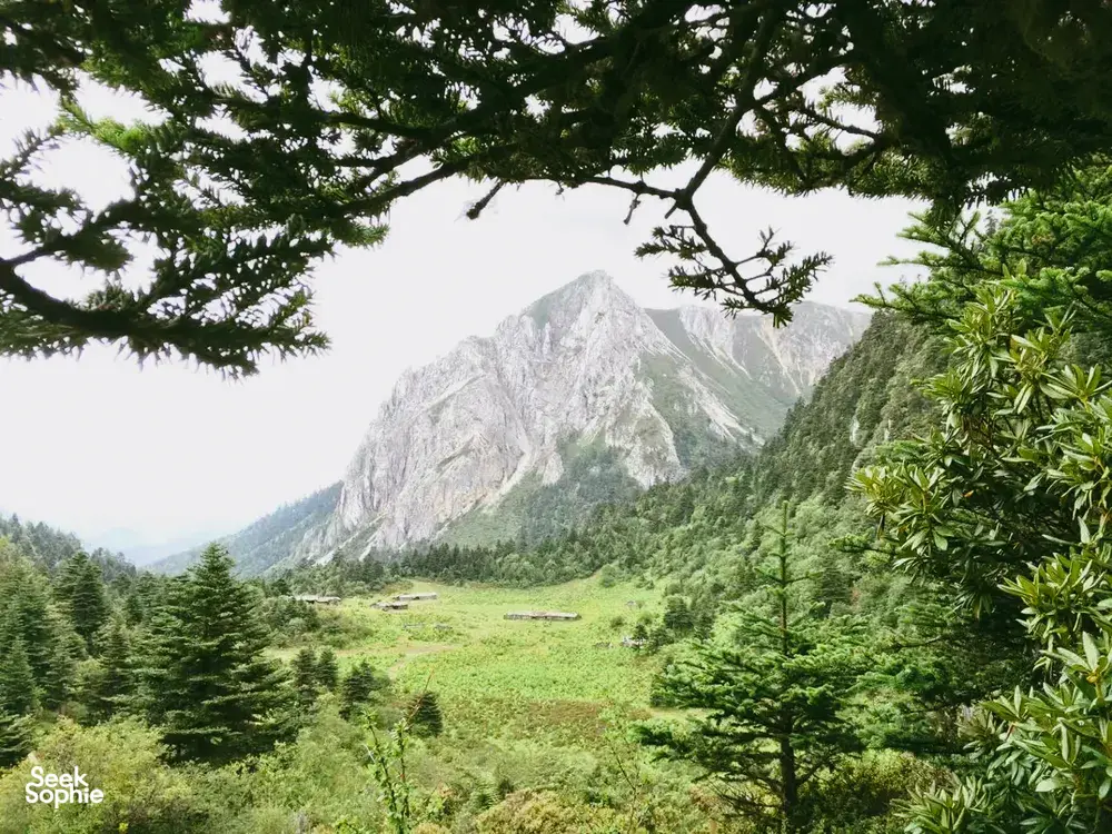 Jagged mountain and green valley viewed through trees near Shangri-La during a Khampa Caravan homestay and lake trip