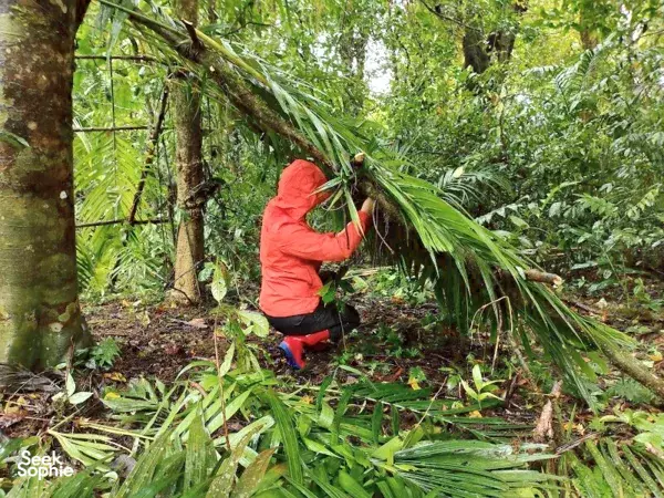 3 Days Jungle Bushcraft; Trekking, Camping and 101 Survival - Bali, Indonesia