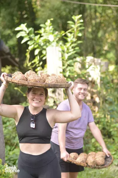 2D1N Ethical Elephant Observation with Doi Inthanon Hike & Night Under the Stars