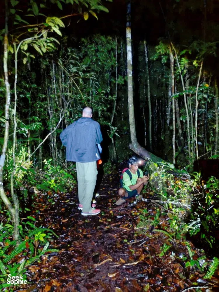 Seek Sophie option picture