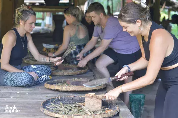 2D1N Ethical Elephant Observation with Doi Inthanon Hike & Night Under the Stars