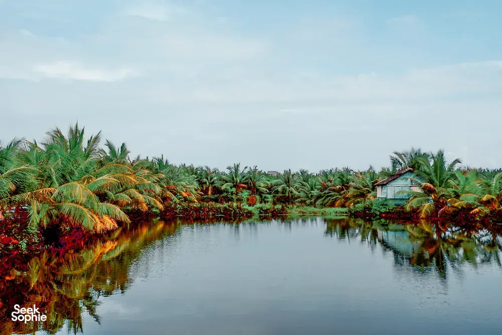 Seek Sophie option picture