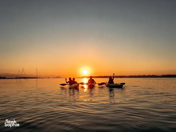 Silhouetted kayakers raise paddles as the sun sets over the water on a Hoi An Kayak Tour in Hoi An