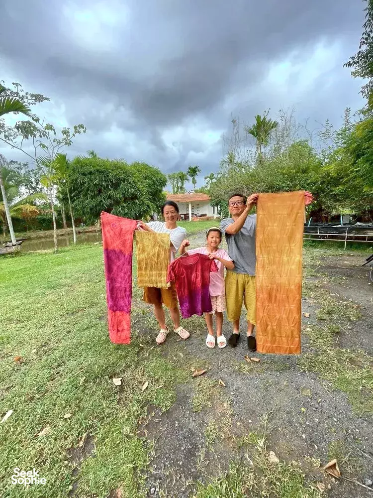 Seek Sophie option picture