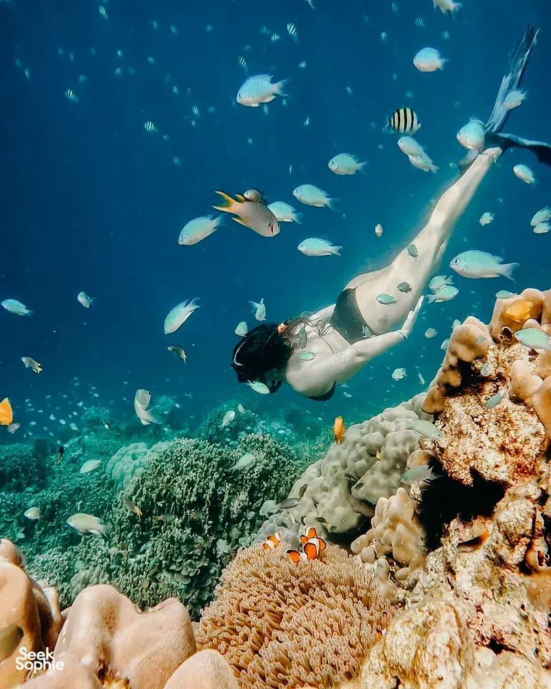 Snorkeller swimming over Surin Island coral and reef fish during a 2D1N Moken-led trip from Khao Lak