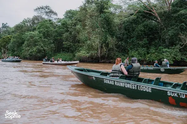 3D2N Kinabatangan River Safari with Night Cruise & Jungle Trek