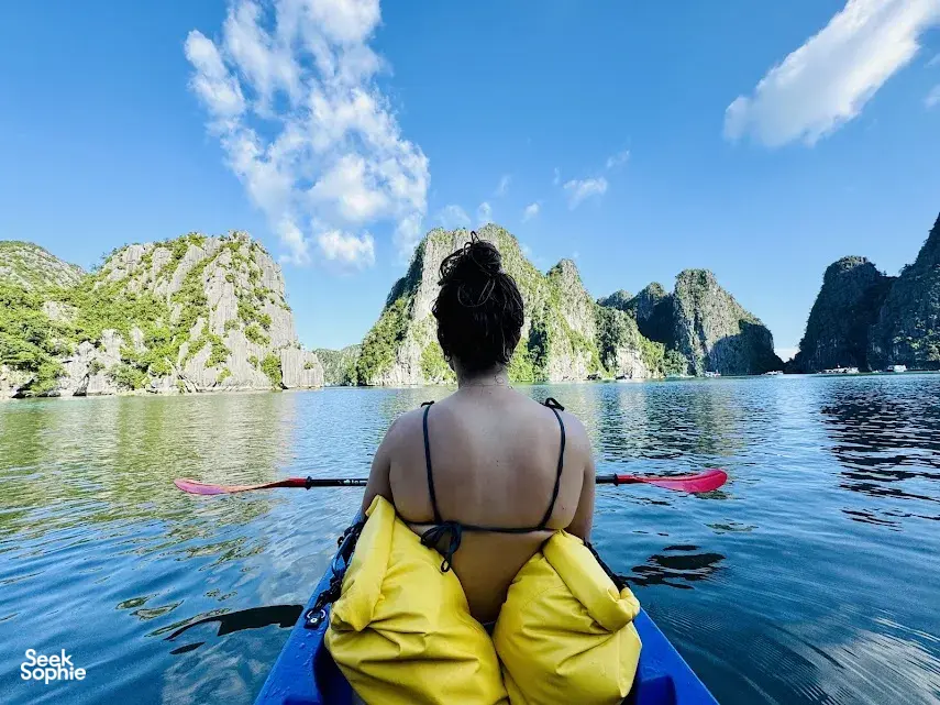 Seek Sophie option picture