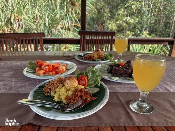 4D3N Private Orangutan Cruise | Comfy Boat + Better Wildlife Sightings