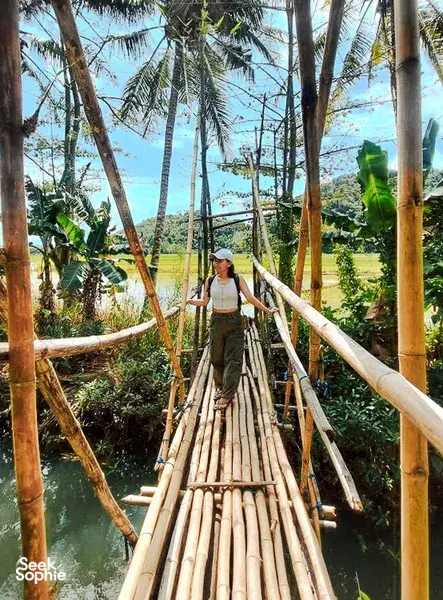 Traveller crossing a bamboo bridge over mangrove water, travelling by La Famille on a day trip in Labuan Bajo