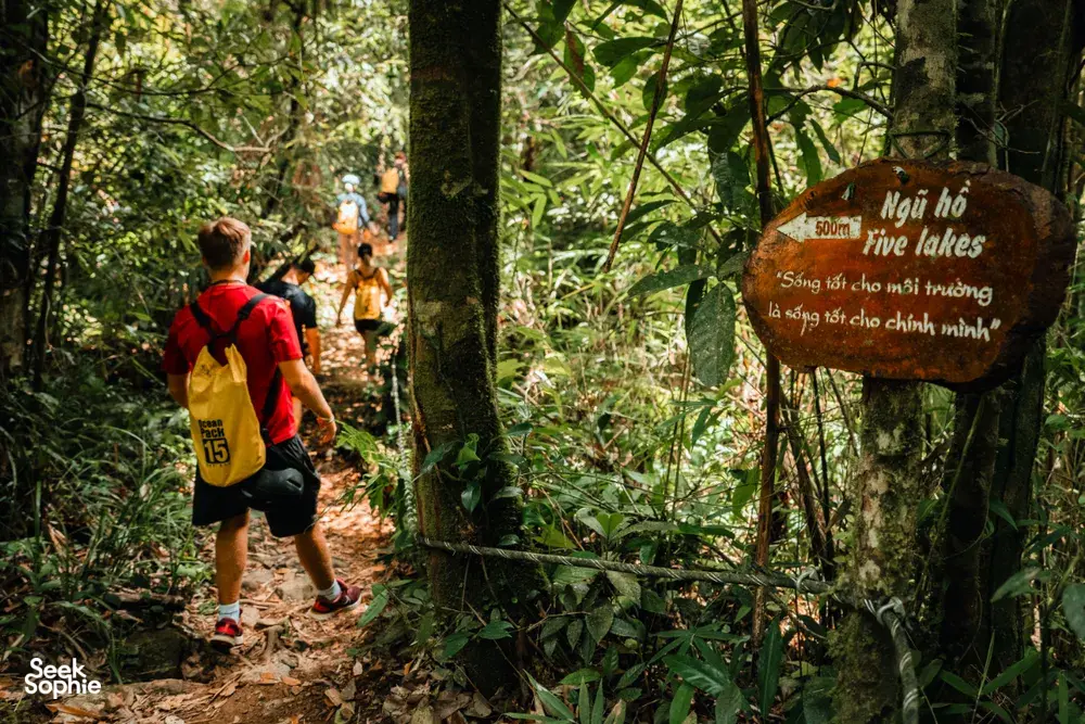 Seek Sophie option picture