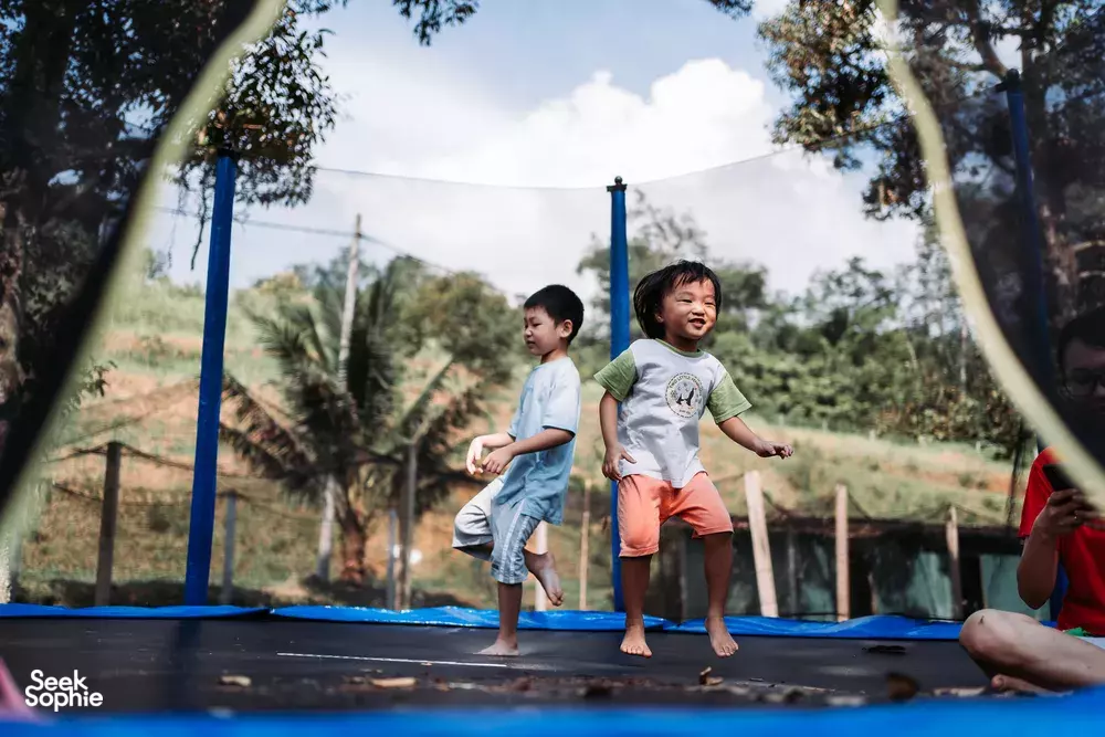 Seek Sophie option picture