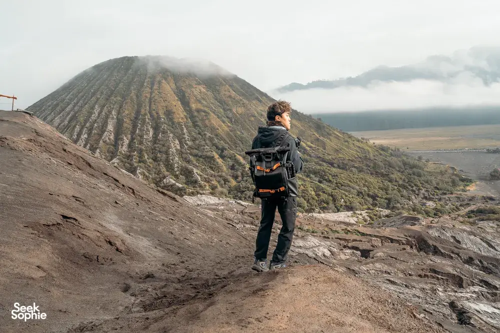 Seek Sophie option picture