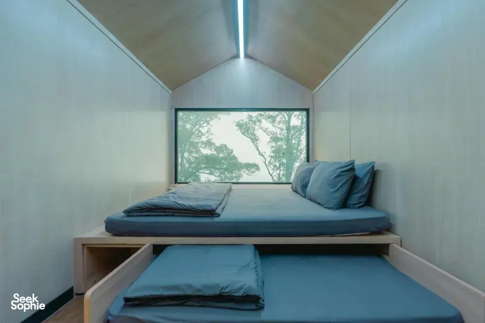 Seek Sophie option picture