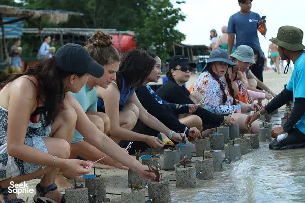 Rinca Coral Nursery Program team guiding travellers to plant coral into cement blocks in shallow water during a Labuan Bajo trip