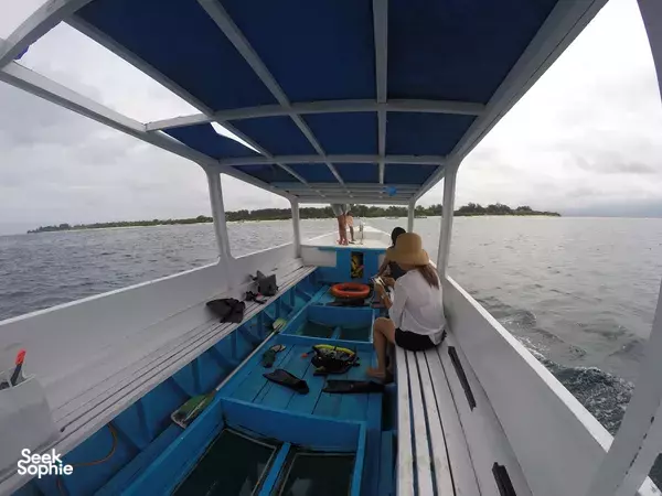 Private Gili Meno Snorkelling | Incredible Turtle Encounters 