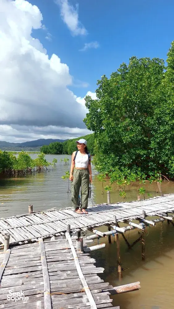 Seorang pengembara berdiri di jeti kayu usang di atas perairan bakau hijau di Labuan Bajo, dikelilingi pepohon dan bukit-bukau