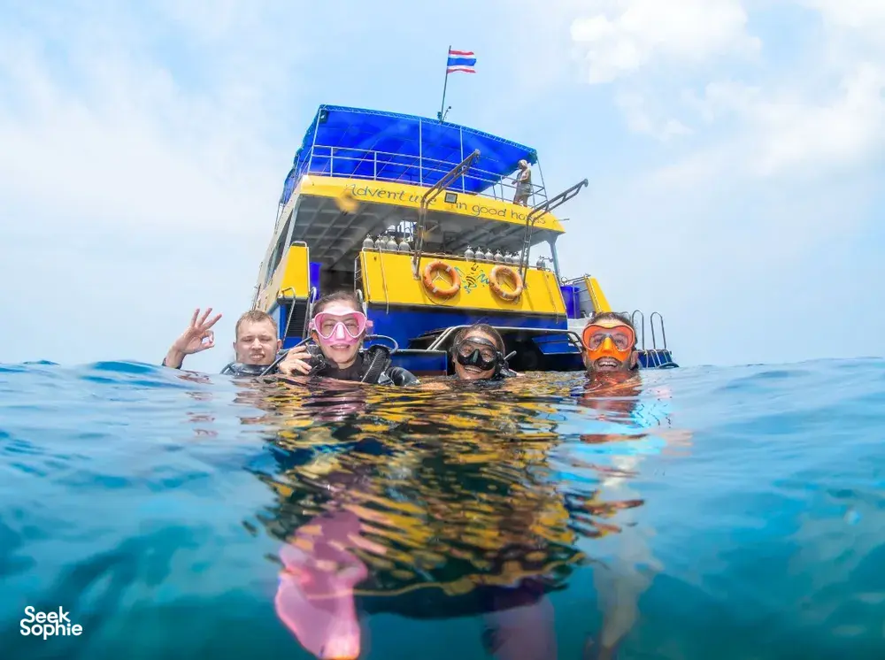 Seek Sophie option picture