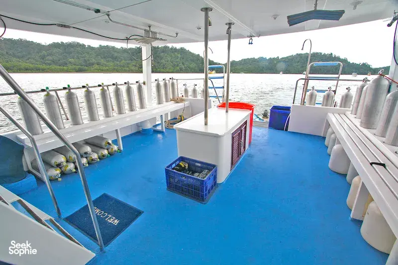 Seek Sophie option picture