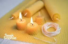 Buat Lilin Organik dari Lebah yang Diselamatkan di Tempat Rahasia di Atas Atap