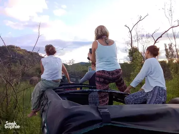 Kaudulla Private Morning Safari (Pick up from Sigiriya or Habarana)