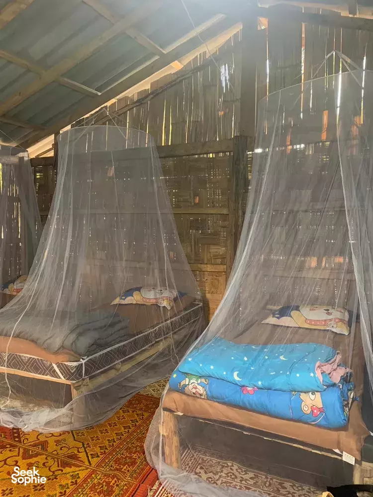 Seek Sophie option picture