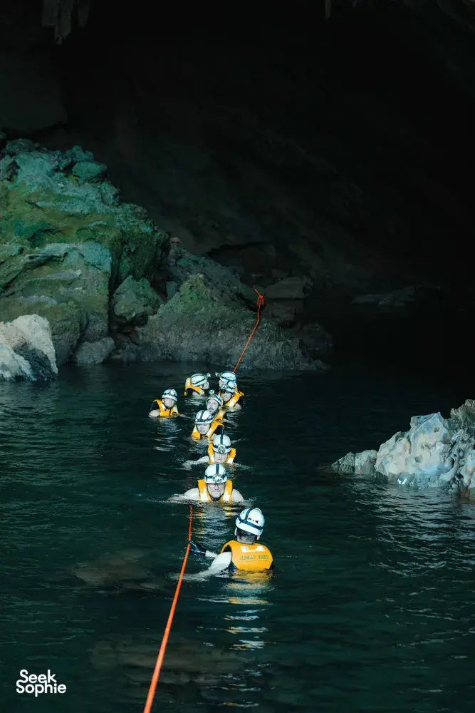 Seek Sophie option picture