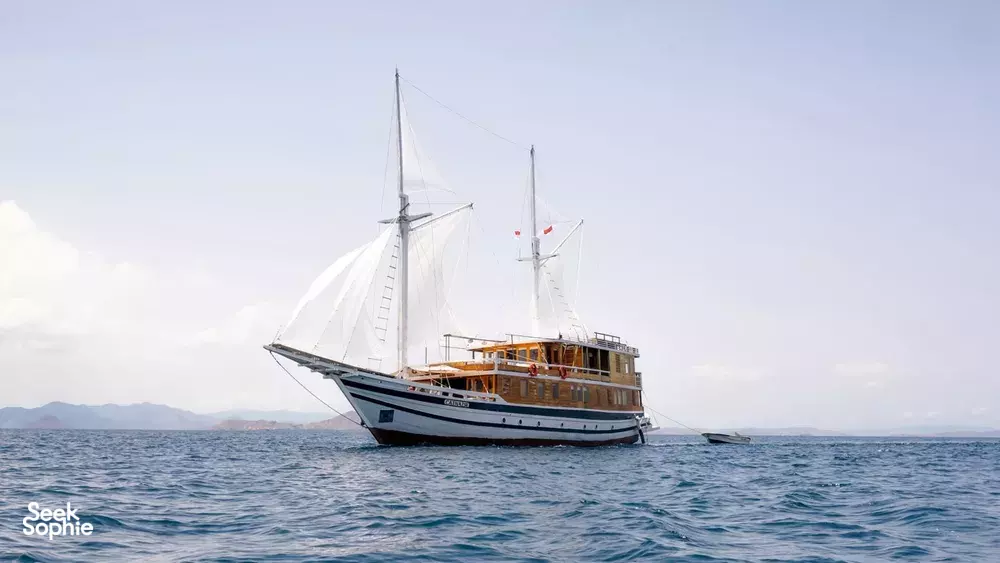 Seek Sophie option picture