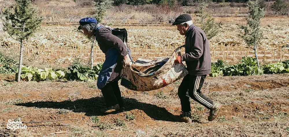 Local villagers carrying a woven bundle through a dry field on a Yi and Naxi village trek, Lijiang, Yunnan