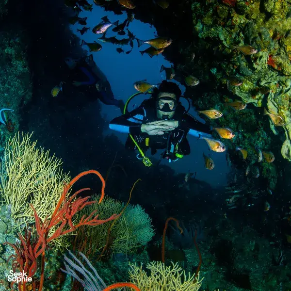 从考拉出发在Richelieu Rock进行2次趣味潜水 | 需要AOW证书
