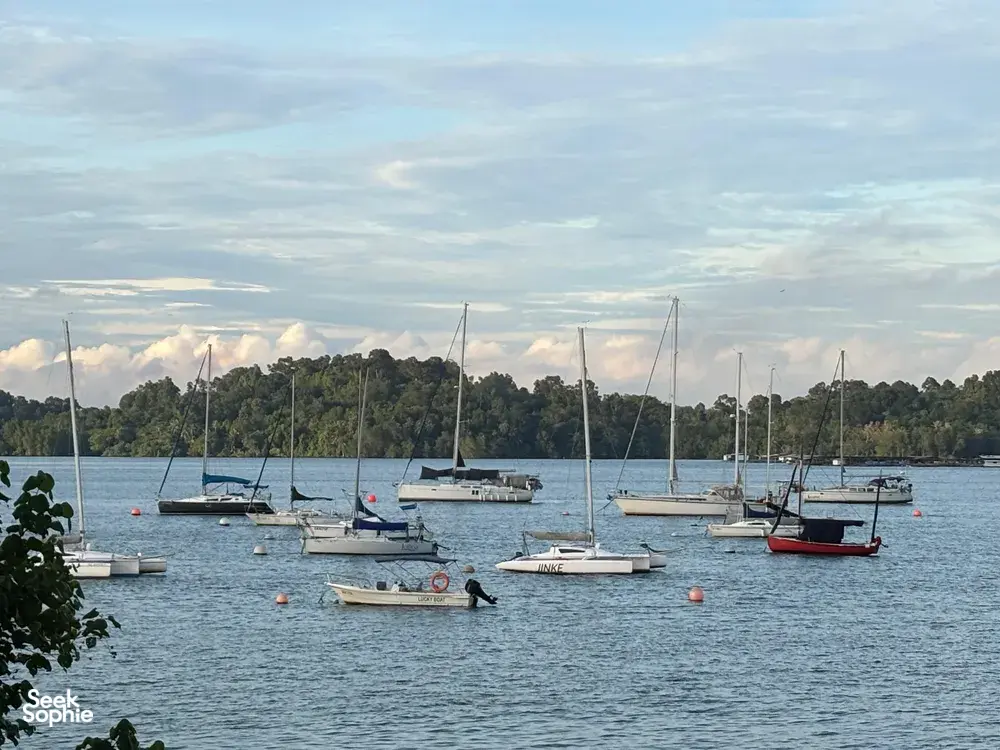 Sailboats with white hulls anchored in a wide bay as seen from the shoreline, calm waters near Singapore on a farmstay getaway
