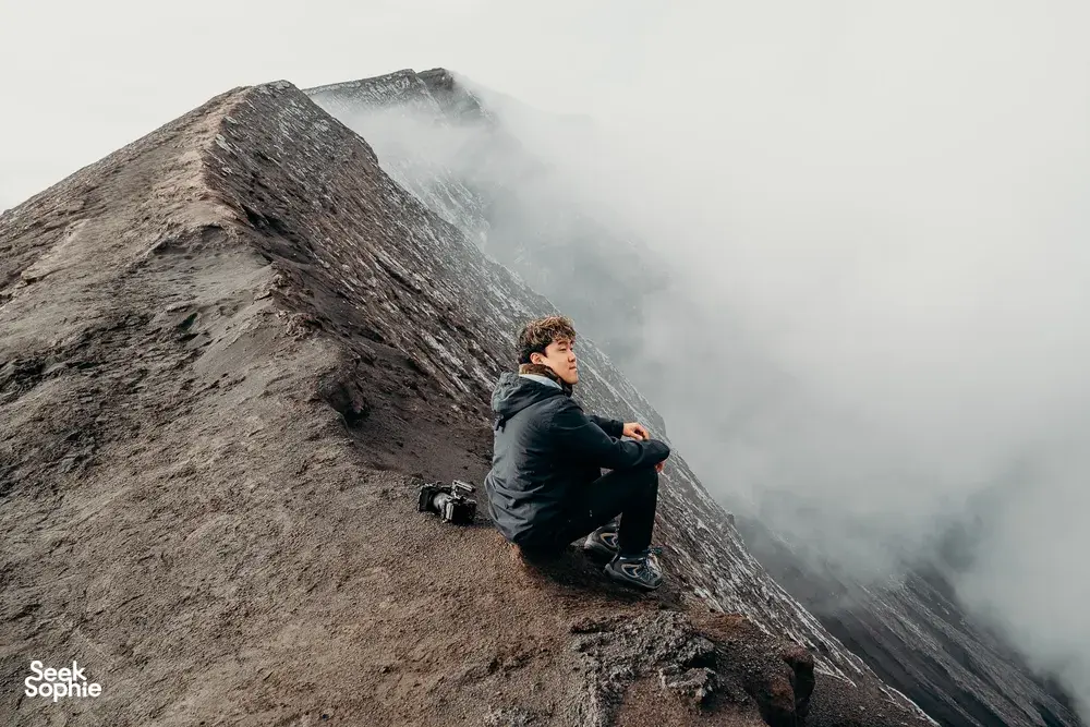 Seek Sophie option picture