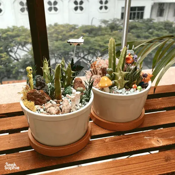 Private Great-Value Terrarium Workshop | Perfect for Teams or Parties