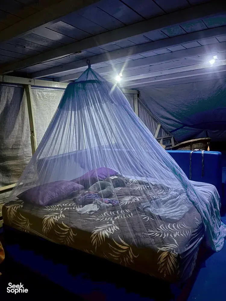 Seek Sophie option picture