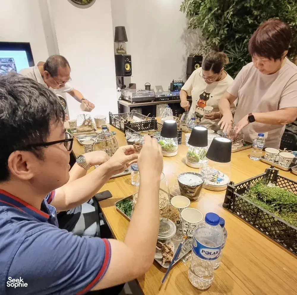 Seek Sophie option picture