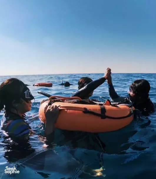 Seek Sophie option picture