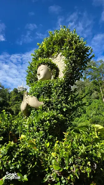 White seated Buddha statue nestled in bright leaves with blue sky above, part of Khao Sok hidden pagodas in Khao Sok National Park