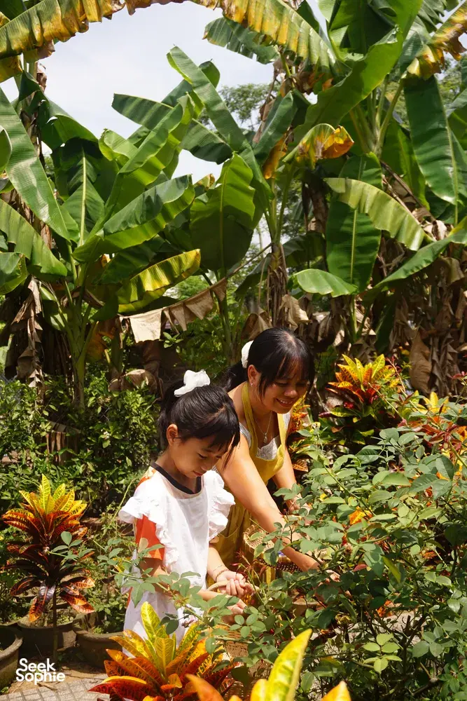 Seek Sophie option picture