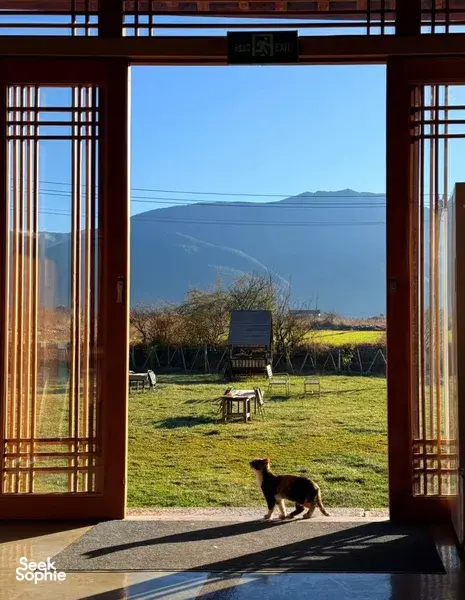 Open wooden doorway framing a grassy garden and mountains at Seeker Yunnan Coffee Estate in Lijiang, with a dog in the foreground