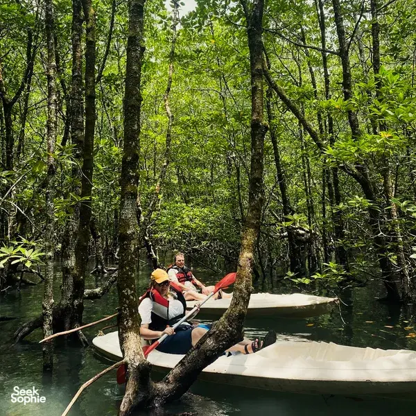 Travellers on kayaks glide under overhanging mangrove branches in Langkawi, surrounded by calm river water on a Selva-led trip