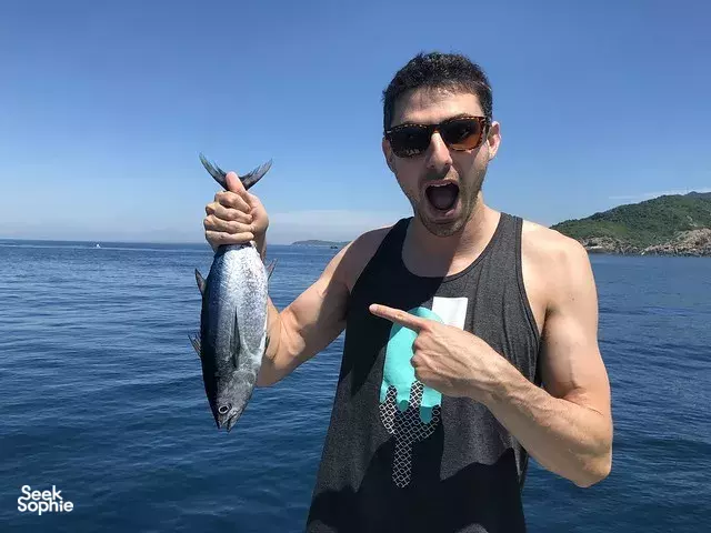 Seek Sophie option picture