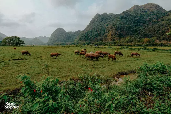 Top Things to do in Cat Ba