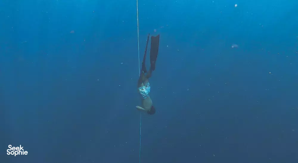 Seek Sophie option picture