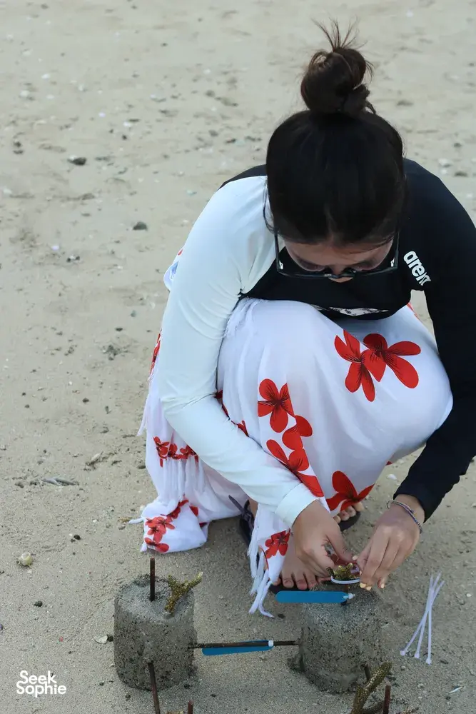 Participant kneeling on sand to plant a coral fragment into a cement frame during a hands-on reef restoration trip in Labuan Bajo
