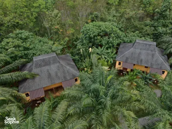 Thatch-roof cabins at Anurak Lodge nestled among dense greenery during a 2D1N stay in Khao Sok National Park